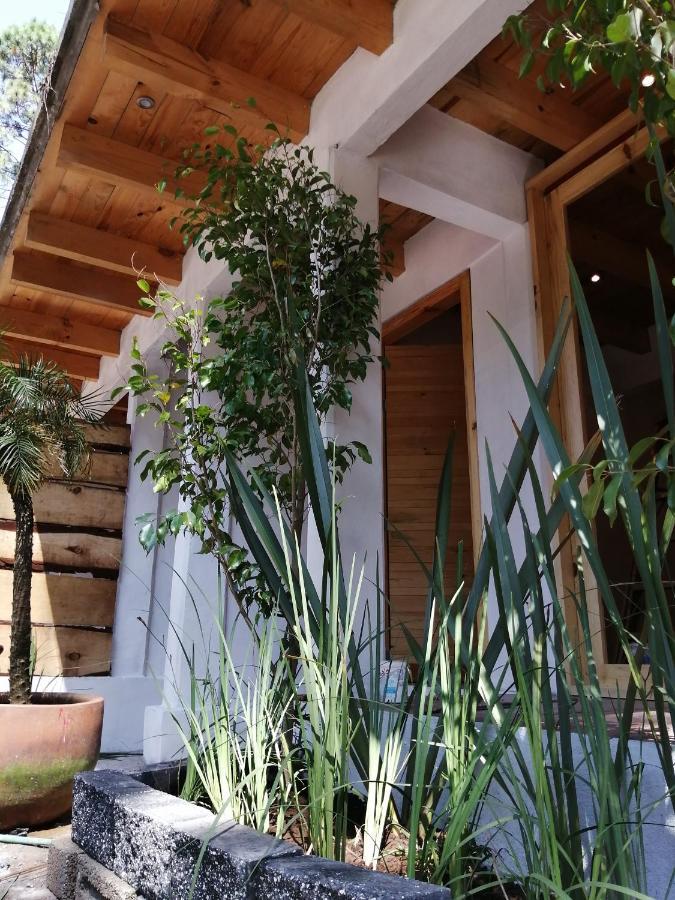 バジェ・デ・ブラボ Encino Houseヴィラ エクステリア 写真
