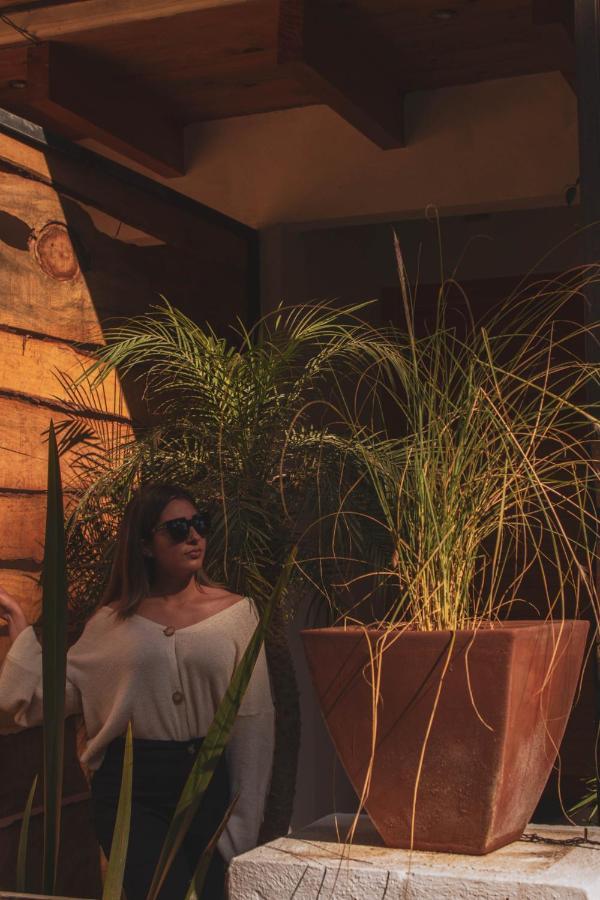 バジェ・デ・ブラボ Encino Houseヴィラ エクステリア 写真